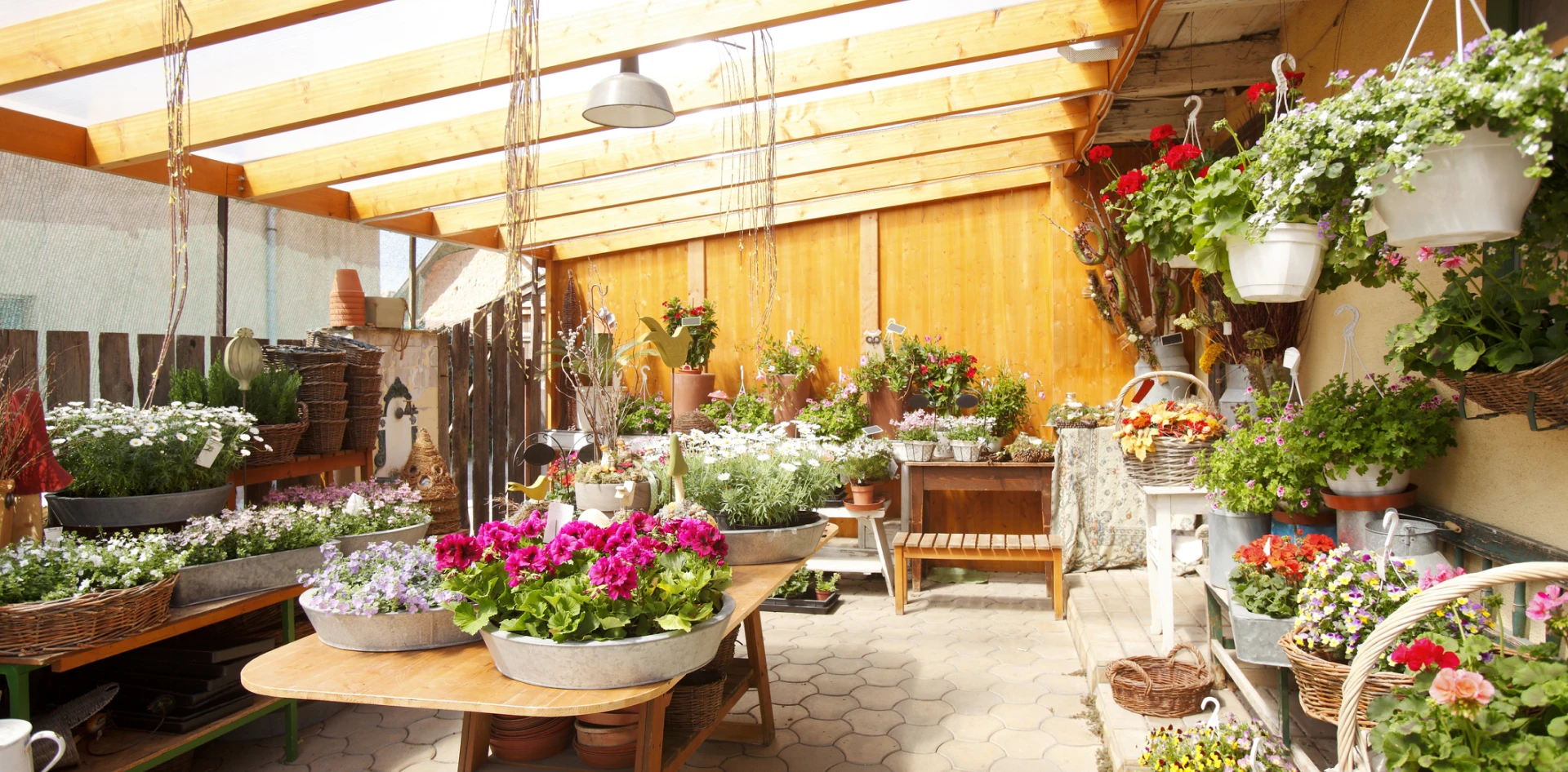 Greenhouse filled with colorful potted flowers