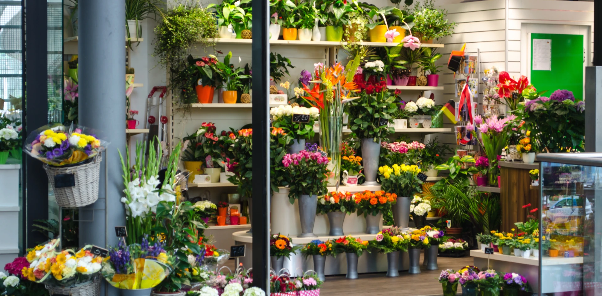 Variety of flowers in pots
