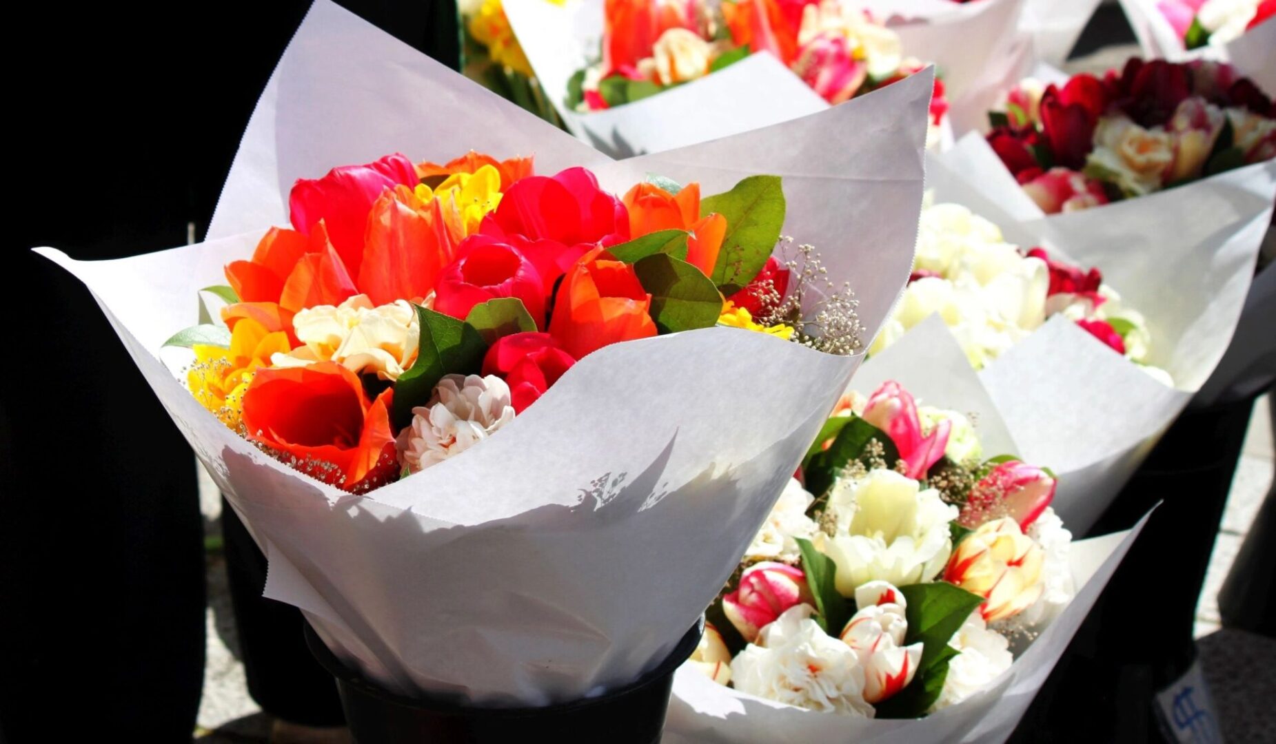 Colorful tulip bouquets wrapped in white paper