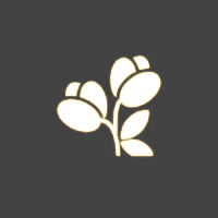 Unique Modern Designs